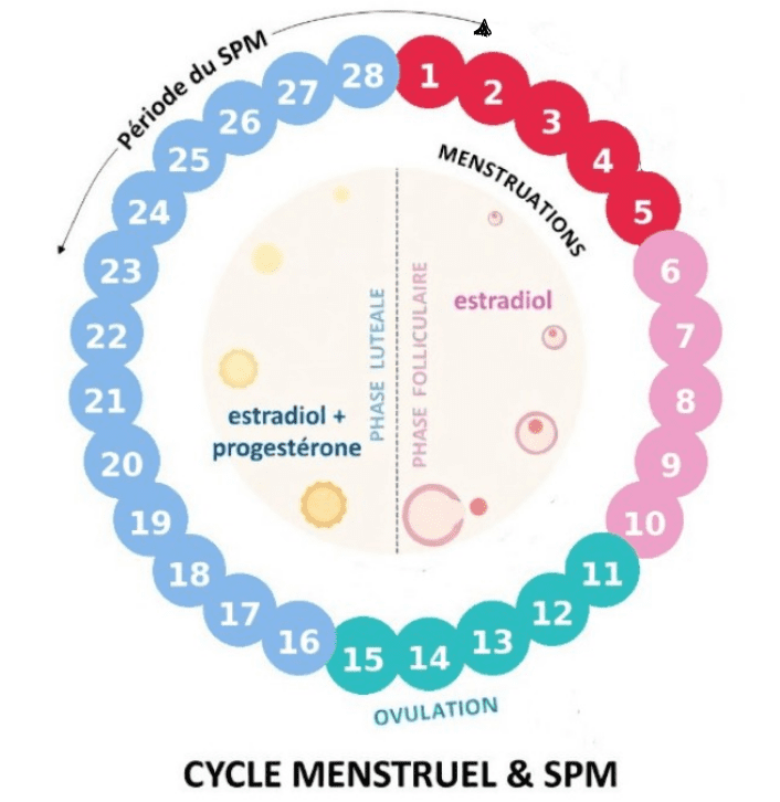 Syndrome prémenstruel : causes et symptômes